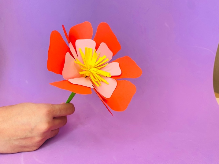 Brighten Someone Special's Day with these Easy Tissue Paper Flowers!