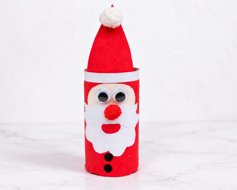 Toilet Paper Roll Santa Claus Craft for Kids